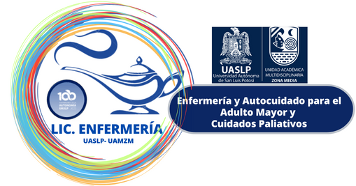 Todos Los Cursos | Didac-TIC UASLP